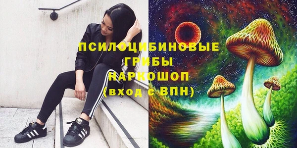 сатива Абаза