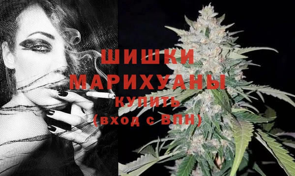 сатива Абаза