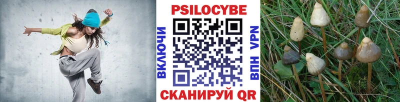 Псилоцибиновые грибы GOLDEN TEACHER  что такое   Азов 
