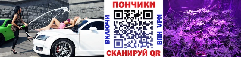 Шишки марихуана OG Kush  где купить наркоту  Азов 
